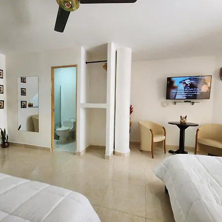 Typical Boutique House Hotel económico